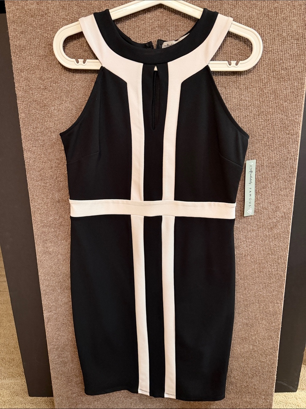 NWT Absolutely Famous Black and White Panel Sheath Dress